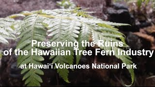 Preserving the Ruins of the Hawaiian Tree Fern Industry [upl. by Paresh]