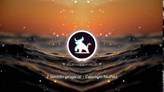 🎵 sonido original  Fabricio Nuñez — Sonidos TikTok [upl. by Toscano]