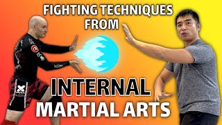 MMA Coach Learns Internal Martial Arts from Kungfu Expert [upl. by Aerdnaxela]