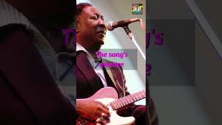 The Rolling Inspiration Muddy Waters and The Rolling Stones shortsyoutube [upl. by Nyleak935]