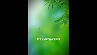 ইনশাআল্লাহ যখন কেউ বলে। islamicinspiration subscribemychannel Kabbo kotha [upl. by Ronna57]