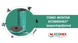 MONTAJE ECOBIRDNEX® espantapájaros [upl. by Dinnie]