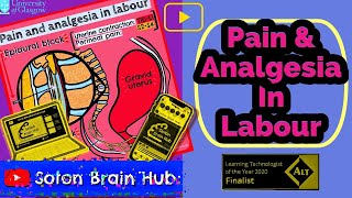 Pain and Analgesia in Labour [upl. by Timms865]