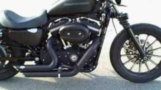 Iron 883 harley davidson blacked out w vance and hines [upl. by Calvin]