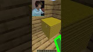 Майнкрафт Иллюзия 😯 shorts майнкрафт minecraft майн [upl. by Ledua869]