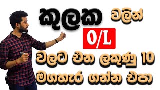 Sets in Sinhala  කුලක 3 ගණන්  kulaka  Grade 11 amp OL maths  Questions with theory  Siyomaths 🇱🇰 [upl. by Nebe]