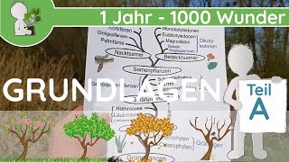 📚 1 Jahr  1000 Wunder  Grundlagen Teil A GeschichteEntwicklung  BotanikGrundlagenWissen [upl. by Nnahgem]