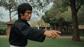 Bruce Lee’s Unparalleled Physical Fitness and Conditioning Martial Arts Techniques [upl. by Enila]