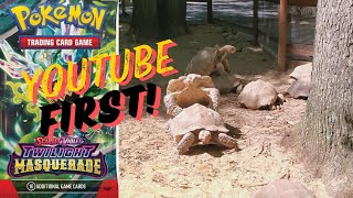 Mating Turtle Pokemon Pack Opening [upl. by Esilec]