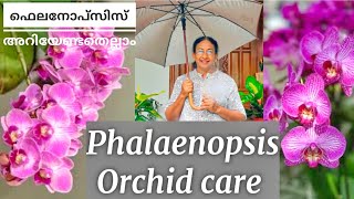 PHALAENOPSIS ORCHID CARE TIPS amp TRICKS TO GROW PHALAENOPSIS ORCHID ORCHID CARE IN MALAYALAM [upl. by Ocirled]