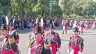 Desfile 9 de julio del ejército argentino regimiento Patricios [upl. by Anyahs]