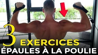 3 EXERCICES POUR SE MUSCLER LES ÉPAULES AVEC UNE POULIE EN MUSCULATION [upl. by Sillert275]