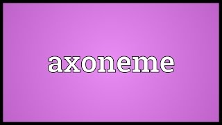 Axoneme Meaning [upl. by Bohun]