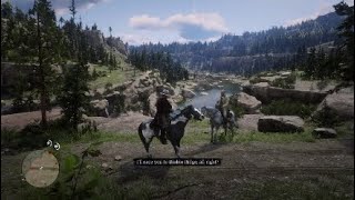 Red Dead Redemption 2 Arthur With Javiers Horse Boaz Vs Nokota Race [upl. by Enenej748]