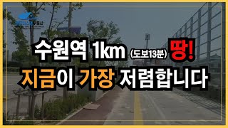 수원역 도보 13분 서호지구 준주거용지 900평 시세대비 엄청 저렴합니다 [upl. by Elleinnad]