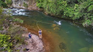 This River is Incredible Big Fish Everywhere [upl. by Edmondo583]