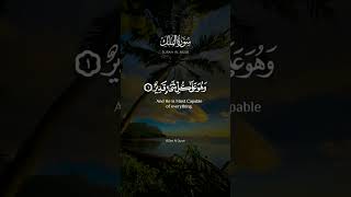 surah mulk surah mulk ary qtv  surah mulkquran tariqjamilofficial [upl. by Aramoj355]