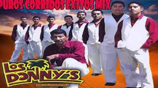 Los Donnys de Guerrero en VIVO Mix Corridos  2021 [upl. by Corrie]