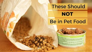 Mold Metal and Worms in Pet Food [upl. by Namaj153]