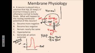 Membrane Physiology 4 [upl. by Nnairret335]