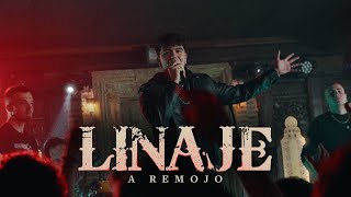 Linaje  A remojo Videoclip oficial [upl. by Trah]