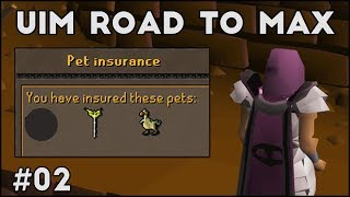 Im the Ultimate Thief  UIM Road To Max 02 [upl. by Anilatak]