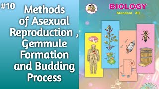 Methods of Asexual Reproduction l Gemmule Formation and Budding Process Explained l 12thclassbiology [upl. by Nihahs103]