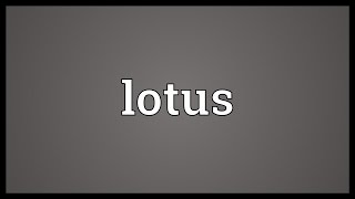 Lotus Meaning [upl. by Larred]