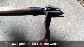 Grampas Weeder  the easiest weeding tool Ive found [upl. by Ledif]