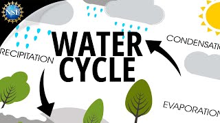 Water Cycle  How the Hydrologic Cycle Works [upl. by Aenea765]