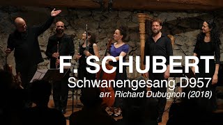 Schubert Schwanengesang D 957  arr Richard Dubugnon  Julian Prégardien [upl. by Zetnas137]