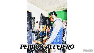 Perro Callejero piter 96 video no oficial silao gto [upl. by Aneertak]