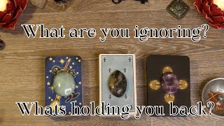 🦋What are you ignoring 🦋What is holding you back from reaching your goals 🌟PICK A CARD🌟 [upl. by Colet]