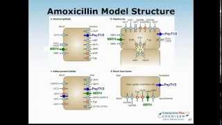 Pediatric PBPK Modeling  Special Considerations in GastroPlus [upl. by Brownley]