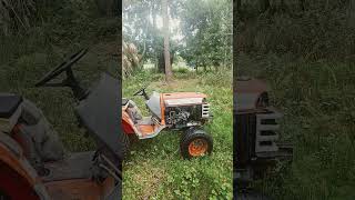 Florida Man Florida Tractor thedrivewayengineer florida floridaman kubota travel [upl. by Nahta413]