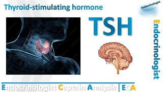 Thyroid stimulating hormone TSH الهرمون المحفز للغدة الدرقية TSH كل ما تحتاج معرفته [upl. by Eelhsa]