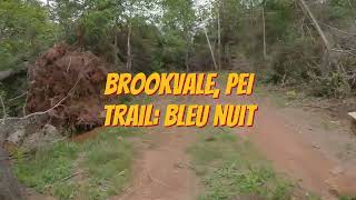 Brookvale PEI mountain biking post hurricane Fiona flowy Bleu Nuit trail features lots of berms [upl. by Ettenyl803]