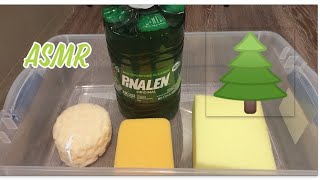 ASMR Giant Jug of Pinalen 🌲 Satisfying Sponge Squeezing [upl. by Rostand692]