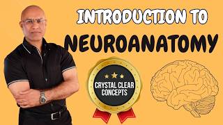 Intro to Neuroanatomy  Neurophysiology  Neuroscience  Central Nervous System [upl. by Ryan]