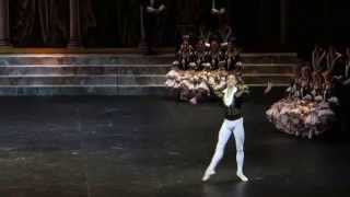 Sergei Polunin  Don Quixote 14122012 [upl. by Tireb]