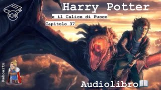 Audiolibro  Harry Potter e il calice di fuoco FINALE  Lettura e Commento Cap 37 [upl. by Delbert]