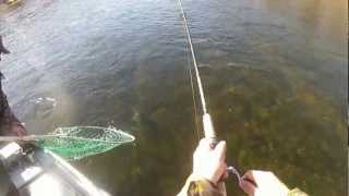 Big Brown Trout on Arkansass White River [upl. by Merola286]