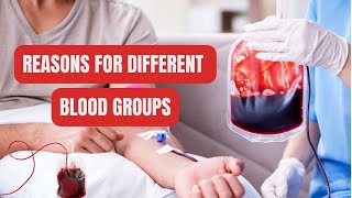 Reasons for Different Blood Groups [upl. by Nedlog]