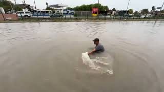 Tazo dorado se divierte en el agua de las inundaciones en Matamoros 5Oct24 [upl. by Eittam]