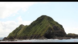 Whale watching in Uvita Costa Rica [upl. by Orest]