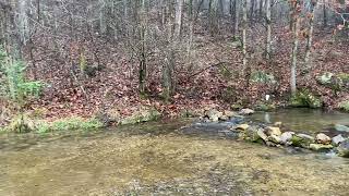 Gray Spring Yellville Arkansas  Marion County  Clear Cold Mountain Water [upl. by Emalia248]