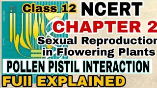 Sexual Reproduction in Flowering Plants Class 12 Biology Revised NCERT Bio Chapter 1 Questions 118 [upl. by Coco312]