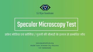 Specular Microscopy Test  Explained in Hindi [upl. by Enar770]