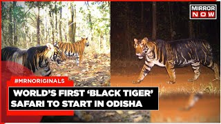 Odisha To Start World’s First ‘Black Tiger’ Safari [upl. by Imit]