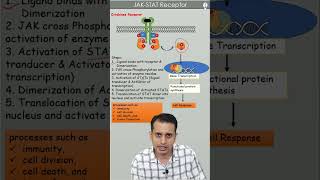 JAK STAT Signaling Pathway  Enzyme liked receptor  GPAT  NEET PG [upl. by Aguste]